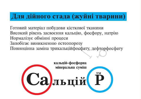 Salciy dijne-min