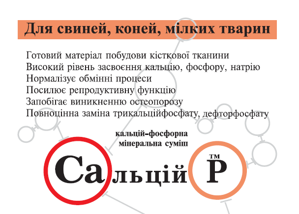 Salciy svyni-min