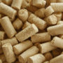 ATENTTION!!! “FOOD YEAST”…