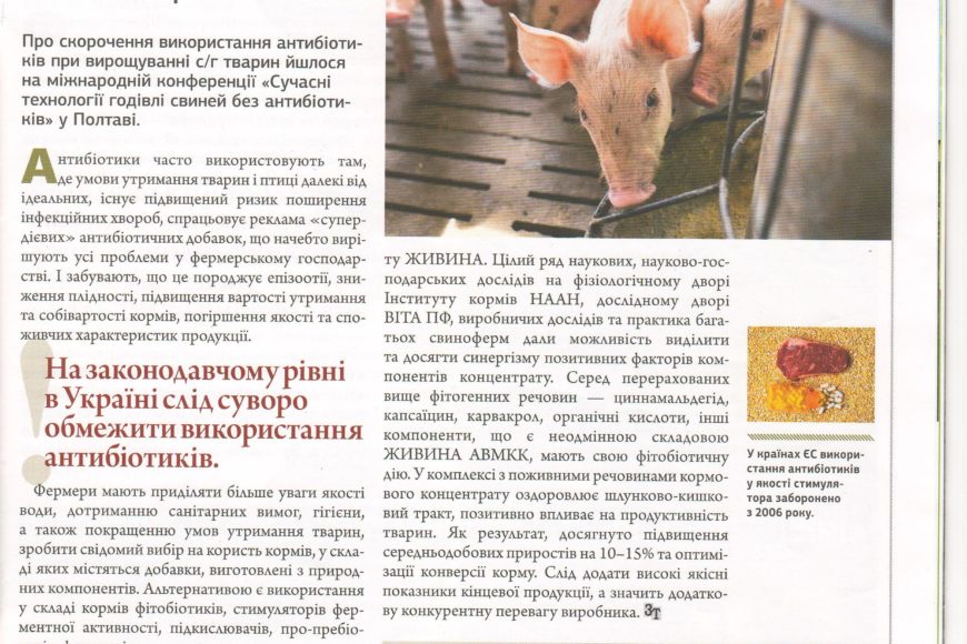 MODERN TECHNOLOGIES OF PIG FEEDING WITHOUT THE USE OF ANTIBIOTICS