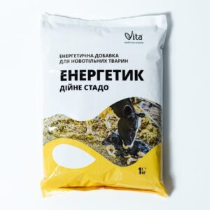 Енергетик