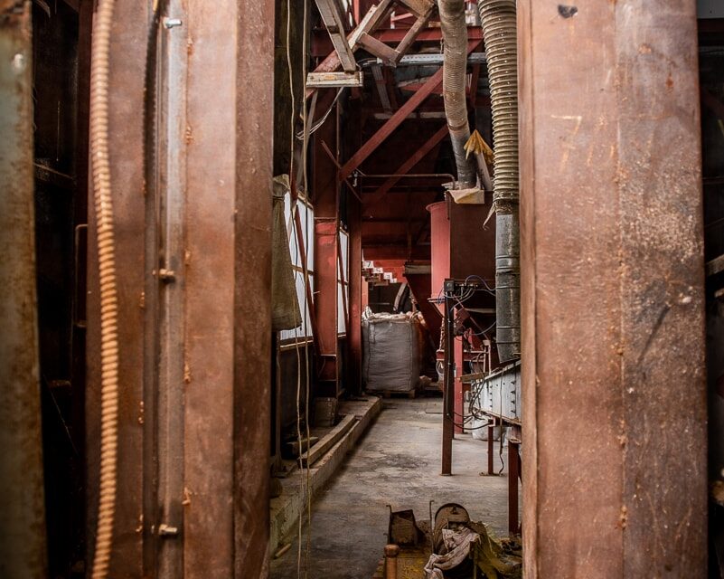 DSC_0229-min